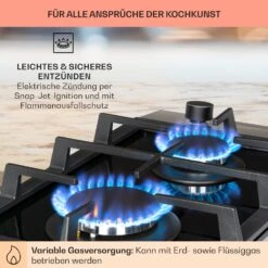 Alchemist Domino Gaskochfeld 2-flammig Aluminium-Brenner Glaskeramik -Haushaltsgeräte Store 10034968 de 0005 usp