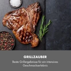 Steakreaktor Core Indoor Grillgerät Hochtemperaturgrill 2100W 800°C -Haushaltsgeräte Store 10035085 de 0007 logo