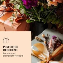 Bedida Teekanne 1300ml Inkl 6 Teerosen Mix -Haushaltsgeräte Store 10040533 de 0005 logo